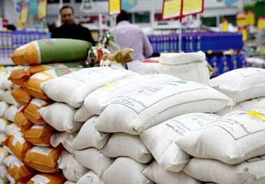 تصمیم جدید دولت برای بازار برنج