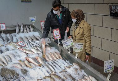 ماهی قزل‌آلا قربانی جدید گرانی شد
