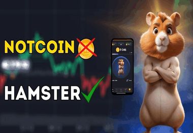 جزئیات تفاوت نات کوین با ارز همستر 