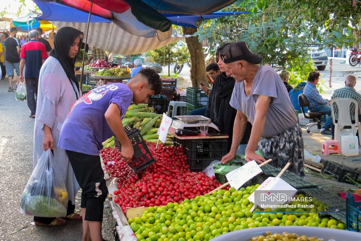 خرید بهصرفه از پنج بازار ارزان بندر انزلی