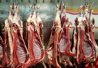 قیمت گوشت قرمز امروز ۴ اردیبهشت ۱۴۰۳