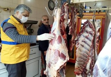 آغاز واردات گوشت گرم از آفریقای جنوبی