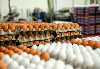 قیمت تخم مرغ امروز ۲ اردیبهشت ۱۴۰۳