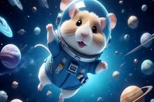 سقوط ۴۵ درصدی قیمت همستر کامبت؛ همستر دوباره امیدآفرین می‌شود؟