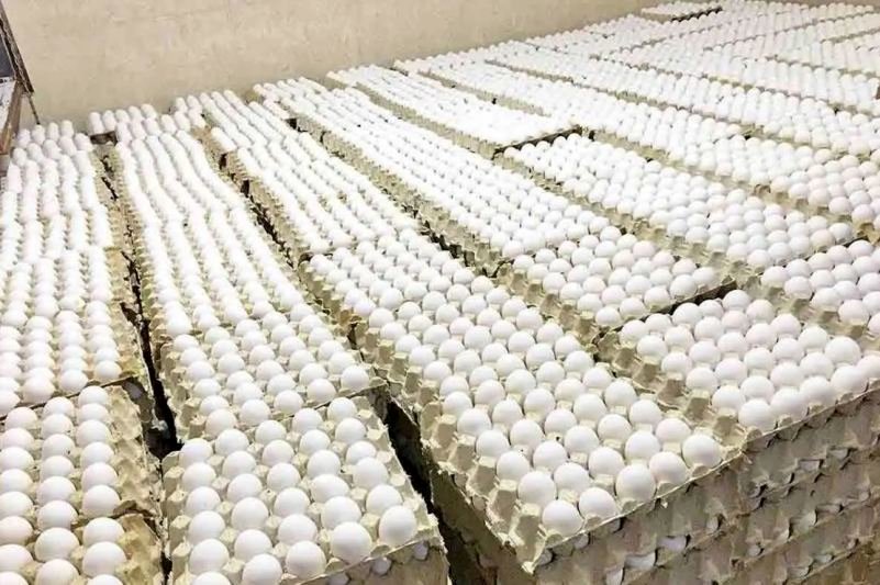 قیمت تخم مرغ در بازار اعلام شد