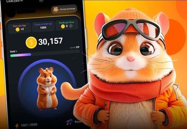 کارت‌های همستر 11 شهریور منتشر شد