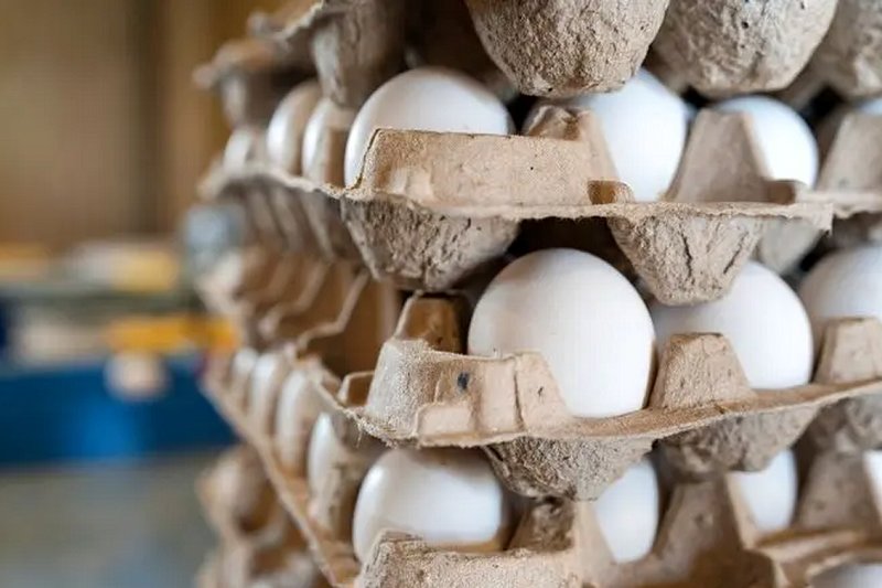 قیمت تخممرغ امروز پنجشنبه 15 آذر/ بسته 20 عددی چند؟