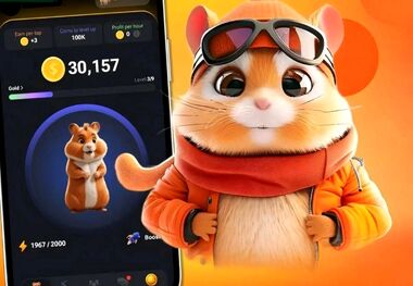 کارت های امروز همستر 11 تیر مشخص شد + (عکس)