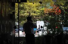 طلا و دلار جای مسکن را گرفت