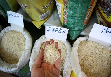 قیمت برنج امروز ۲۰ اردیبهشت ۱۴۰۳ 