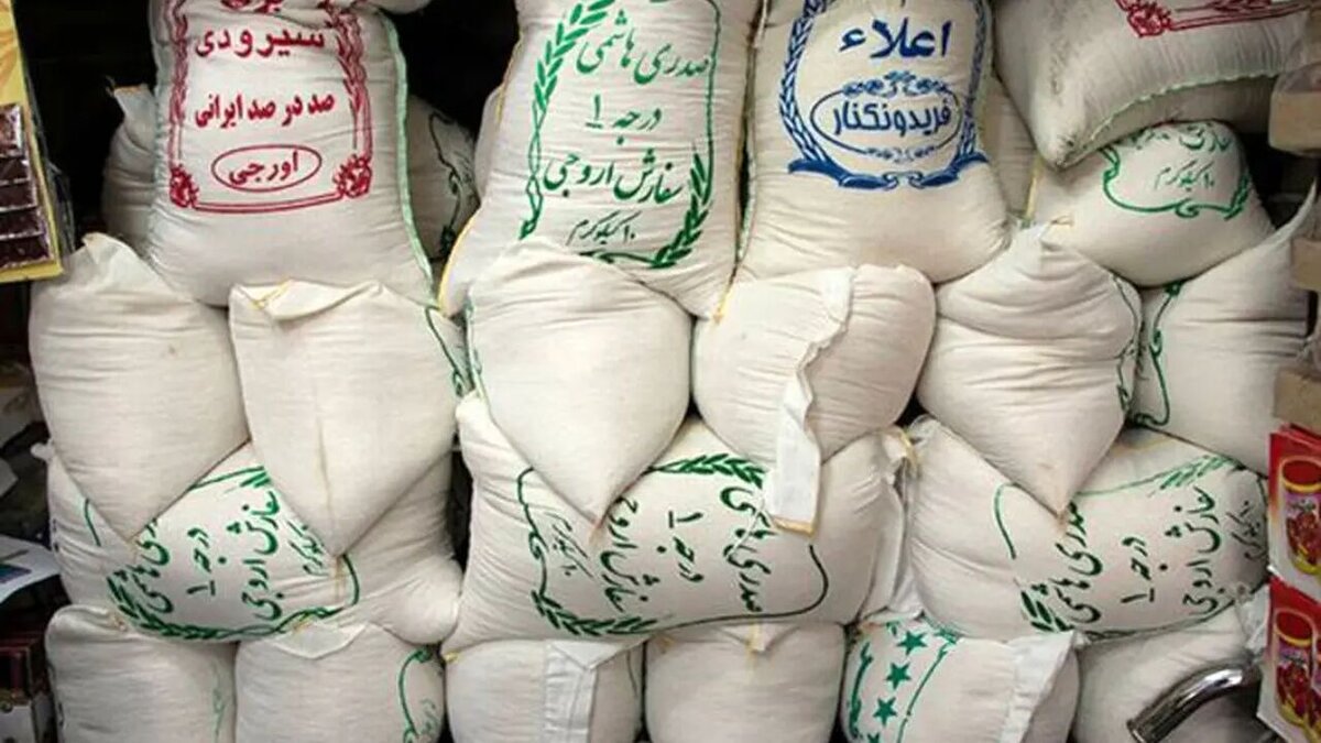 برنج از سال آینده گران می‌شود