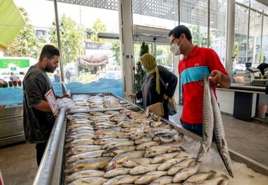 قیمت ماهی امروز یکشنبه 26 فروردین