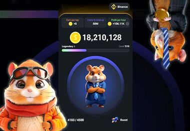  قیمت سکه‌های همستر واقعا چقدر می‌شود؟