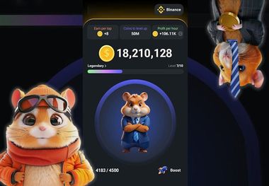  قیمت سکه‌های همستر واقعا چقدر می‌شود؟