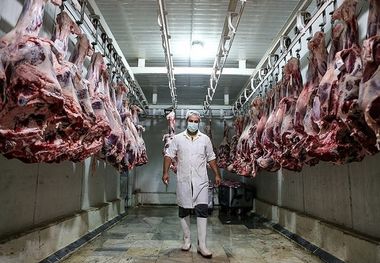 قیمت گوشت قرمز امروز یکشنبه 31 فروردین/ ماهیچه گوسفندی میلیونی شد