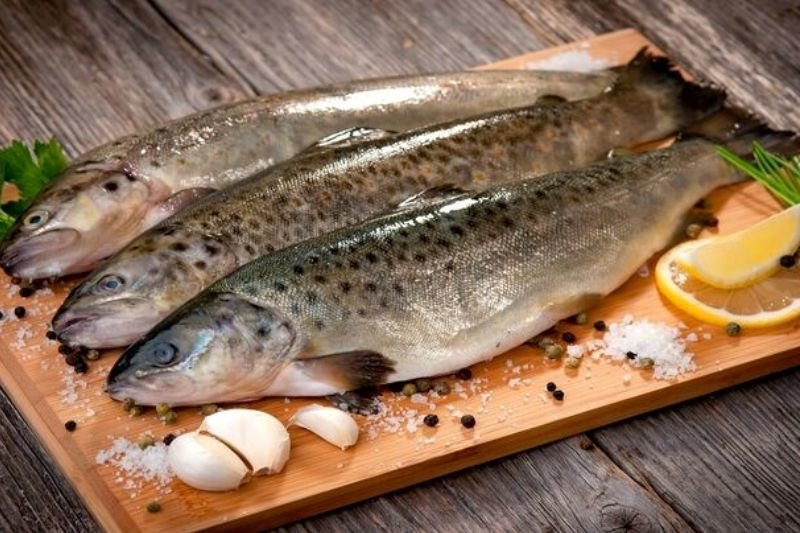 قیمت ماهی امروز ۴ تیر/ پرواز ماهی شوریده جنوب تا مرز 800هزارتومان