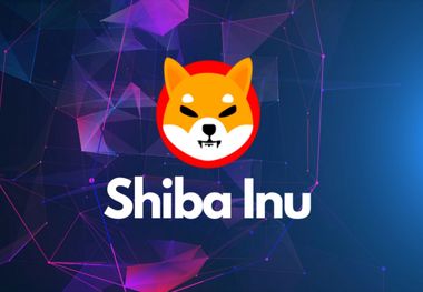 قیمت شیبا امروز ۳۰ تیر/ شیبا کم آورد