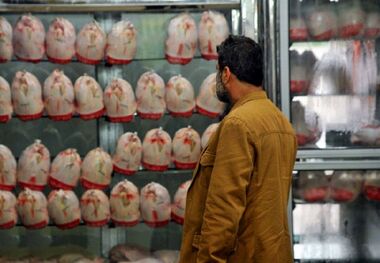 مرغ و گوشت ارزان نمی‌شود