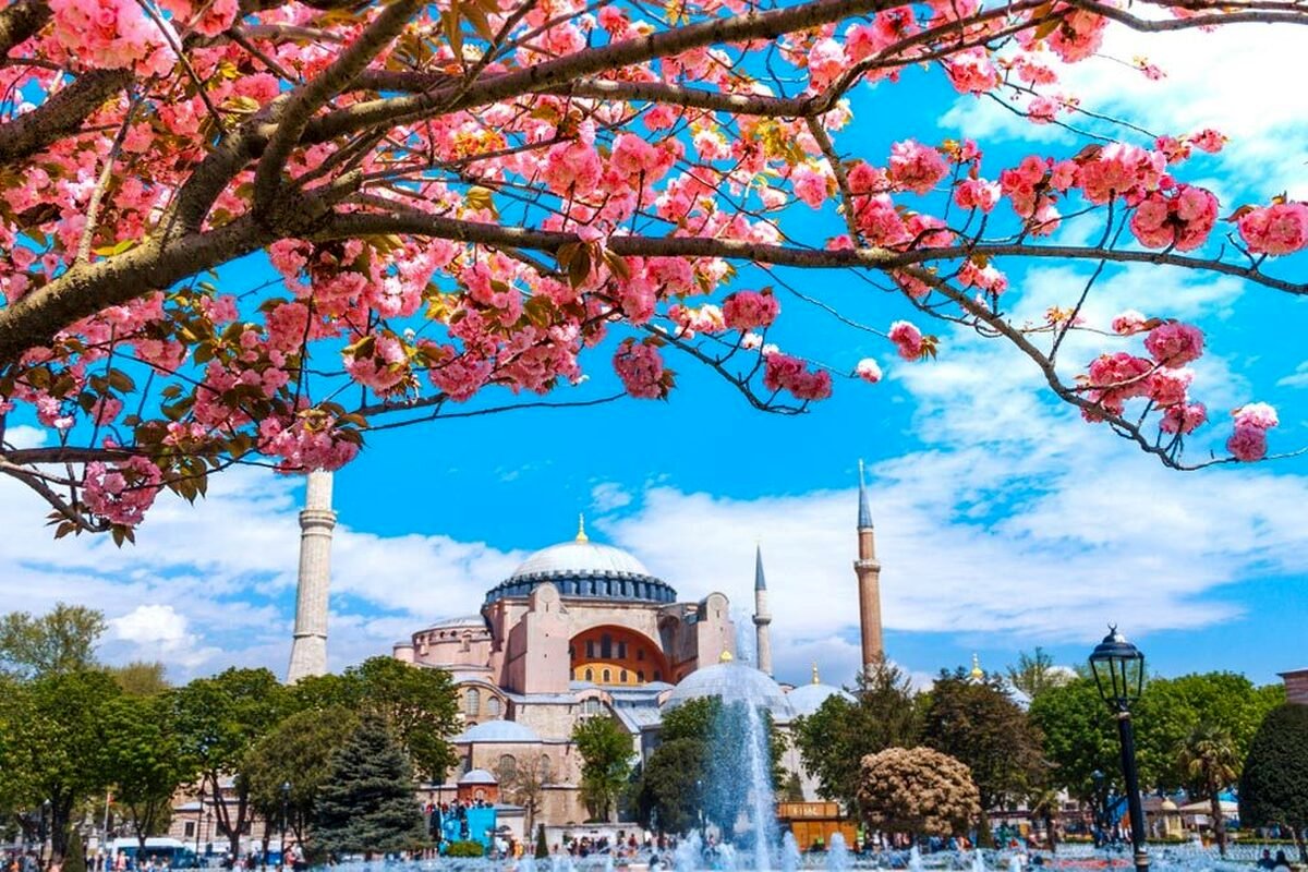 قیمت تور هوایی استانبول امروز ۱۴ مرداد/ سفر به استانبول با 20 میلیون