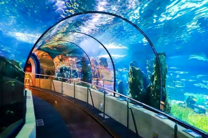 قیمت تور ارزان کیش امروز ۲۹ خرداد / ارزان‌ترین تور کیش چند؟