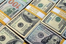 بایدها و نبایدهای دولت در بازار ارز