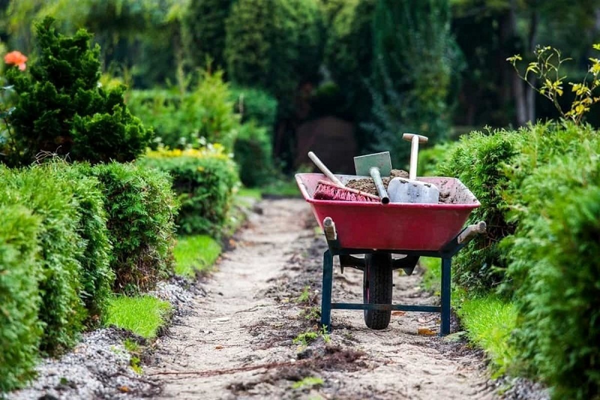 واردات بیش از 45 میلیارد  لاستیک فرغون!