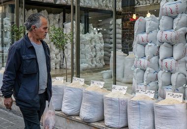 قیمت جدید برنج ایرانی و خارجی در بازار