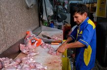 قیمت جدید مرغ در بازار