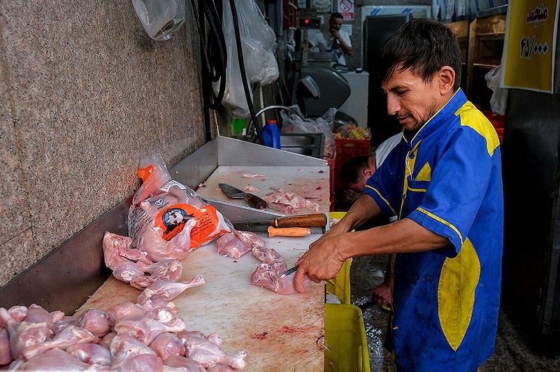 راز گرانی مرغ چیست؟