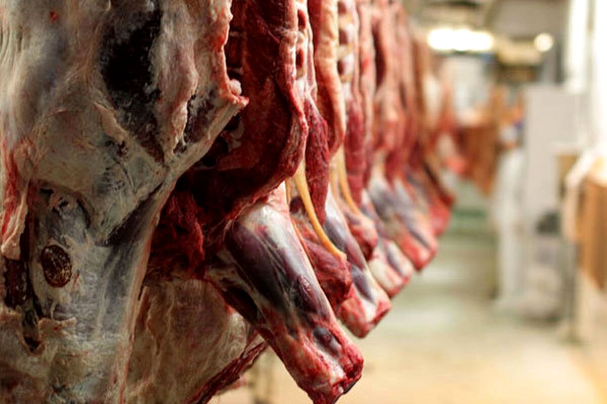 قیمت گوشت قرمز امروز 23 آبان/ شقه گوسفندی کیلویی چند؟