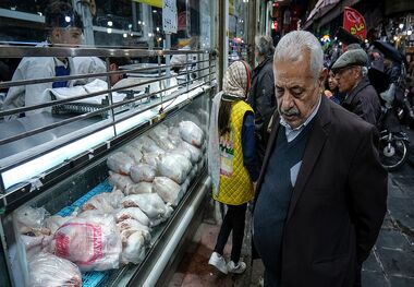 استارت رایزنی برای گرانی مرغ در سال 1403!