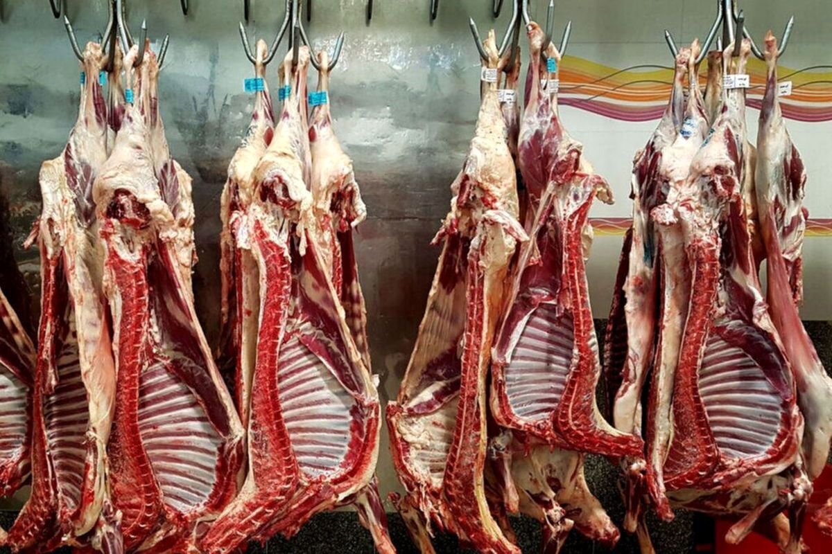 قیمت گوشت قرمز  امروز 25 مرداد/ راسته گوسفند کیلویی 900 هزار