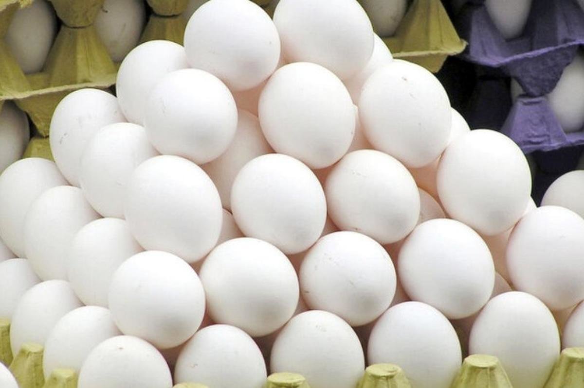 قیمت تخم مرغ امروز 7 مرداد/ بسته‌ 6 عددی چند؟