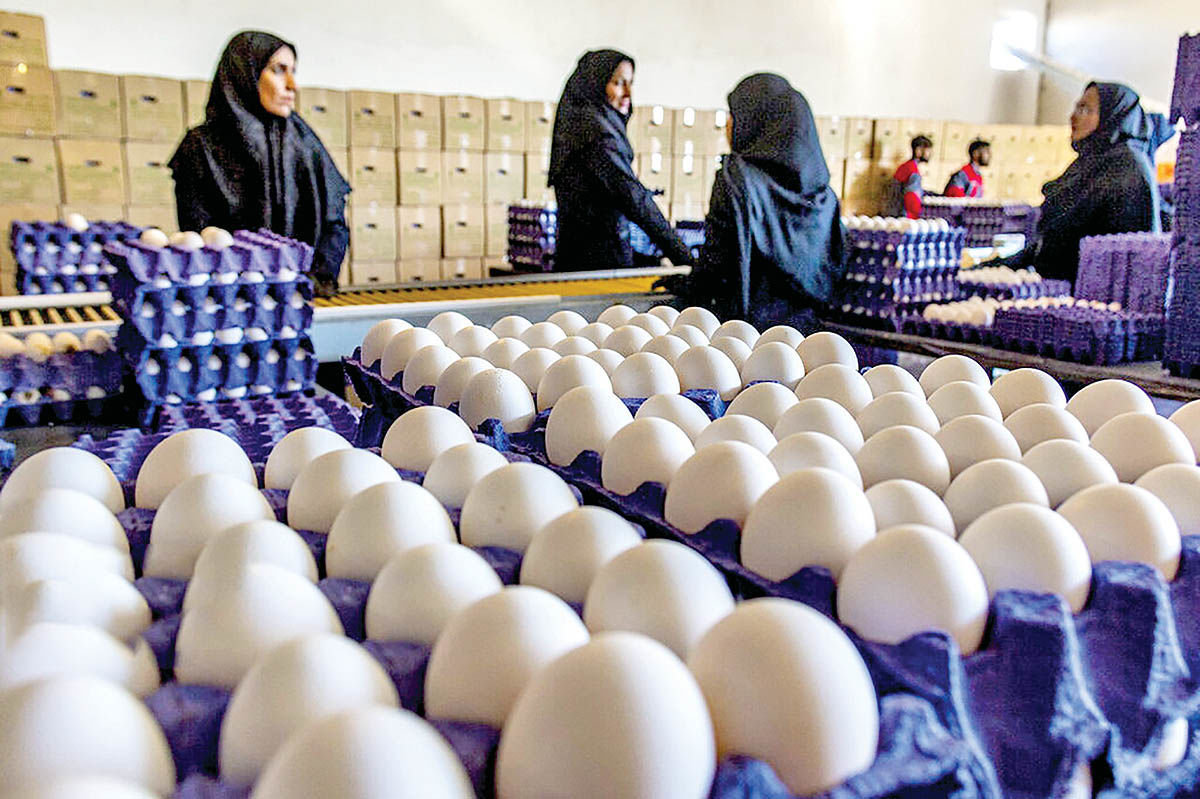 قیمت تخم‌مرغ امروز 5 اردیبهشت 1403