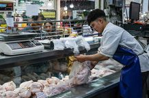 پشت‌پرده مرغ 170 هزار تومانی در بازار