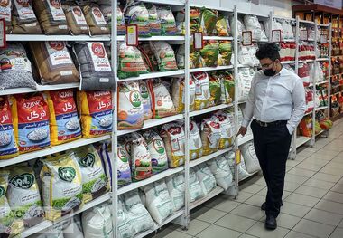 تخصیص ارز برنج به کجا رسید؟