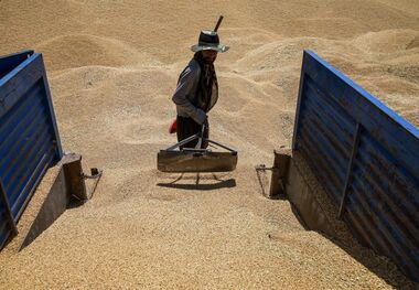پرداخت مطالبات گندمکاران کلید خورد