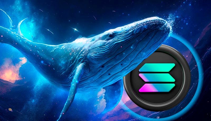 نهنگ‌های سولانا شروع به برداشت سود کردند! 