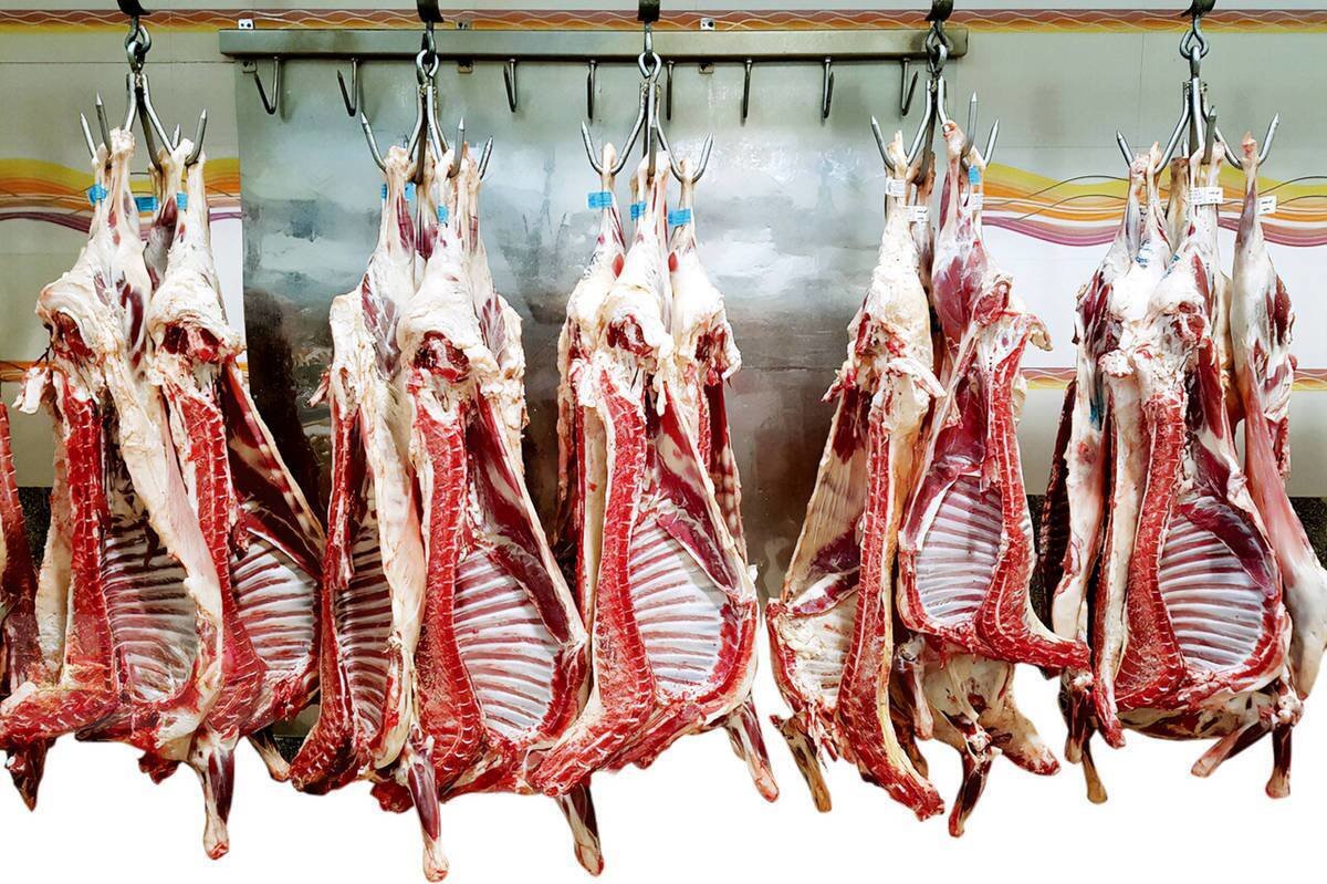 قیمت مصوب گوشت قرمز اعلام شد