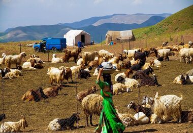 600 هزار زن روستایی و عشایر بیمه شدند