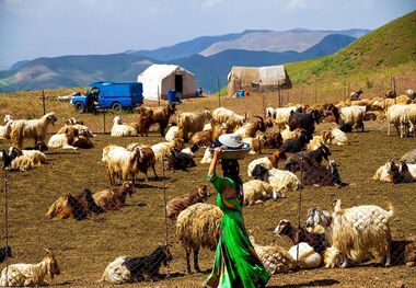 600 هزار زن روستایی و عشایر بیمه شدند