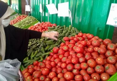 کاهش قیمت گوجه‌فرنگی در بازار