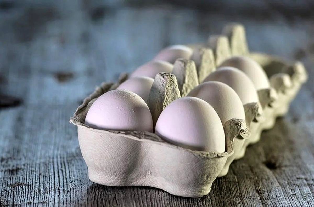 تخم‌مرغ روی دور گرانی؛ هر شانه 180 هزار تومان!