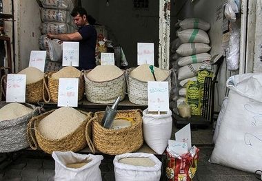 قیمت برنج؛ گران‌ترین مدل کیلویی 239 هزار تومان