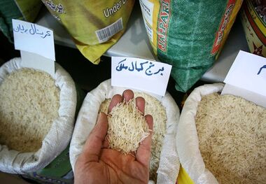 قیمت برنج امروز؛ برنج گلستان کیلویی 130 هزار تومان!
