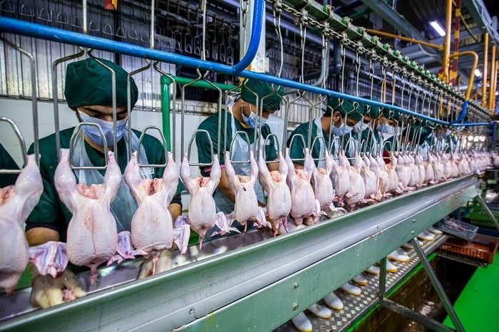 قیمت مرغ اعلام شد + جزئیات