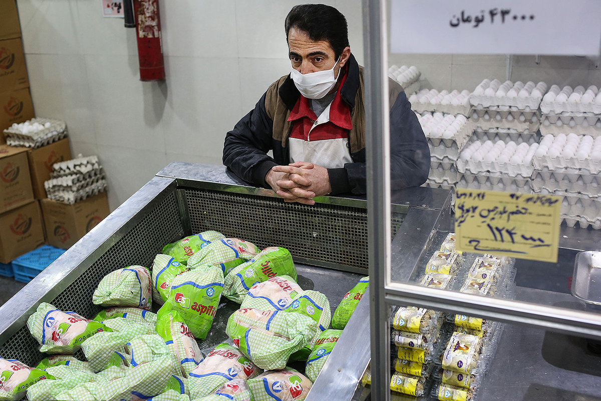 مرغ ارزان شد