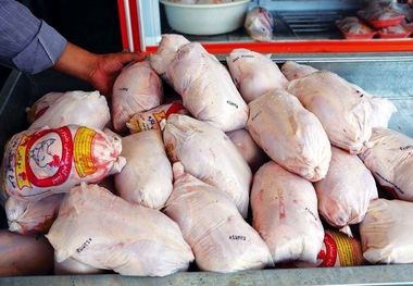 قیمت گوشت مرغ امروز ۲ اردیبهشت ۱۴۰۳
