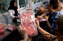 آغاز ثبت سفارش واردات گوشت منجمد