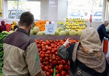 قیمت هر عدد گوجه معادل 10 لیتر بنزین شد!